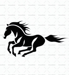 Galoppierendes Pferd